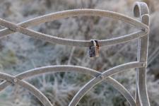 Jean Taylor - Love in the cold