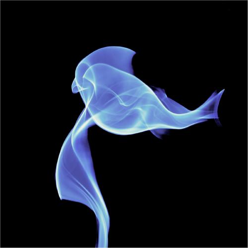 Smoking parrot - Richard Cunningham