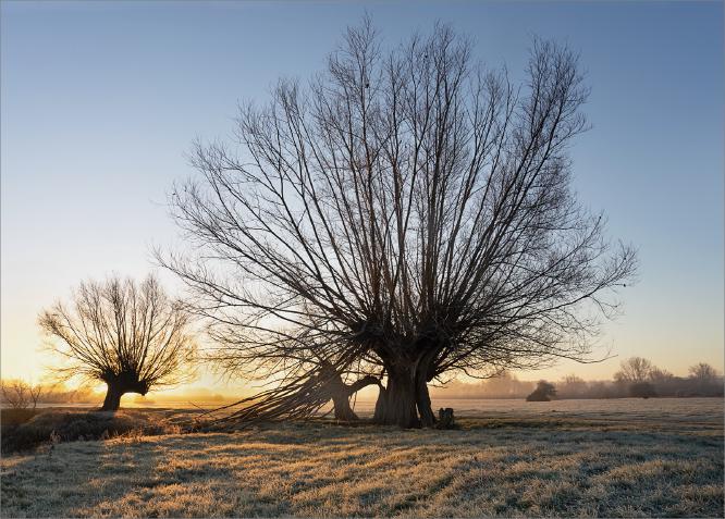 Sunrise at Dedham - Colin Brett