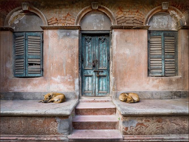 Let Sleeping Dogs Lie - Kate Jackson