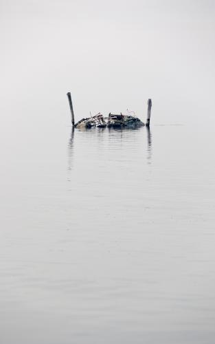 Pellestrina wreck - Jean Taylor