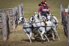 David Charlton - Right turn now!