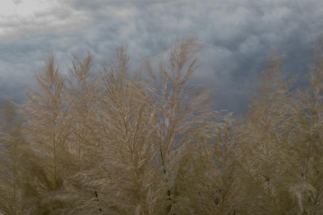 Agitation - Alex Tyler