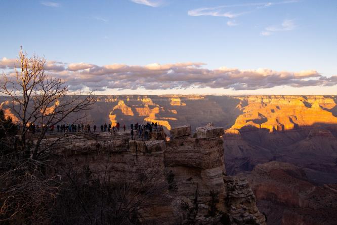 Canyon gazing - Jean Taylor