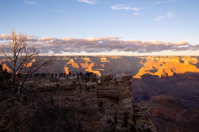 Canyon gazing - Jean Taylor