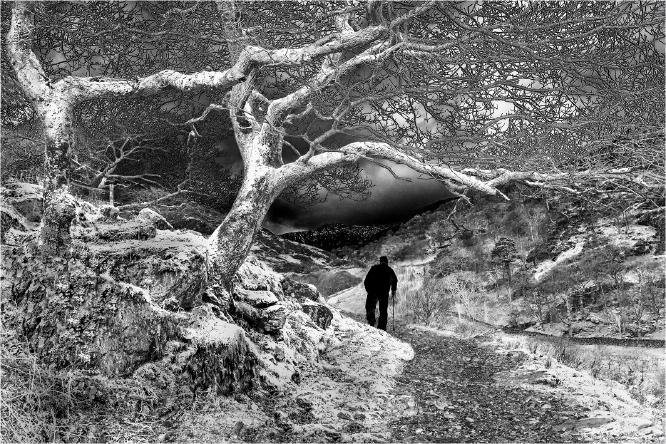 Cold Winter Evening Walk - Hilary Knight