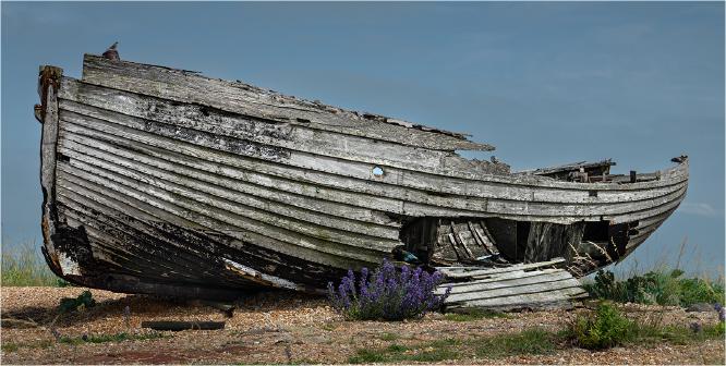 Long Forgotten - Jennifer Brett