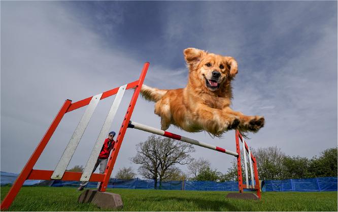 Max and trainer - Richard Cunningham