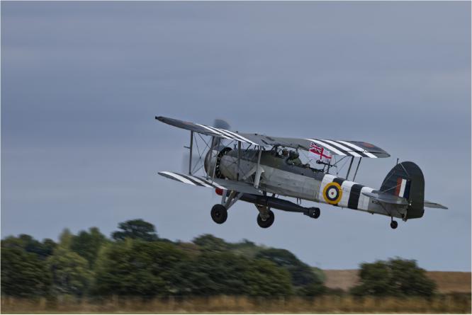 Swordfish Taken Off - Terry Stone