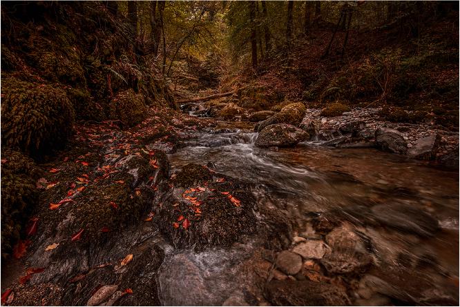 The Fall - Mark Kench