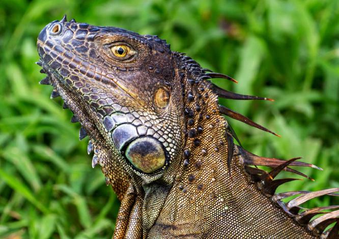 You looking at me! - Helen Cruickshank