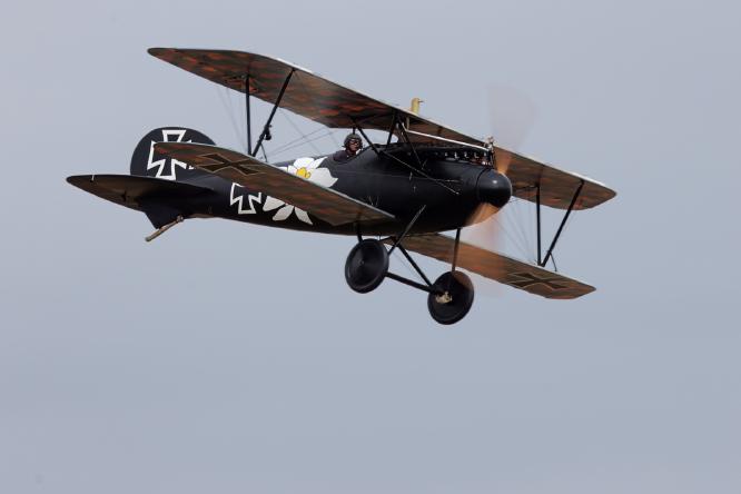 Albatros In The Air - Terry Stone