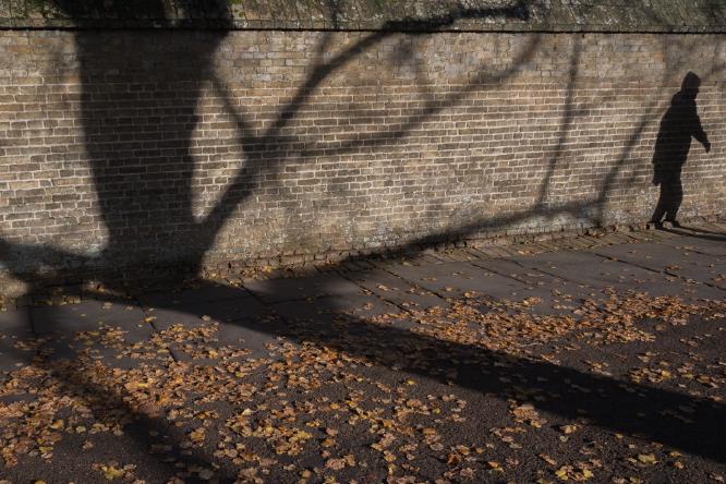 Autumn shadows - Alex Tyler