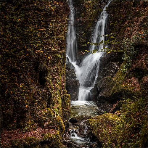 Fall's Concergence - Mark Kench