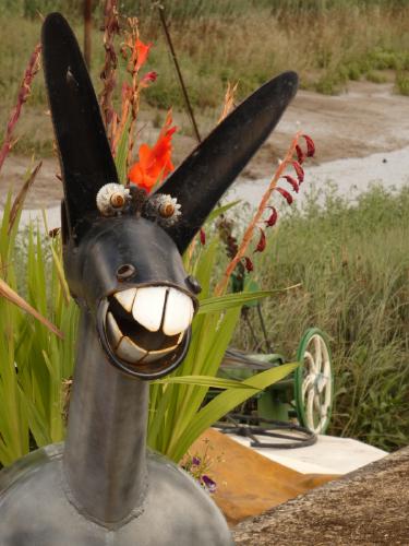 What's Up Doc - Tony Smith