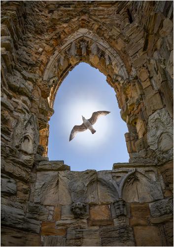 Window Devine - Jeff Scott