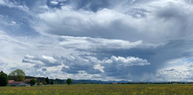 Spring in Bavaria - Jean Taylor