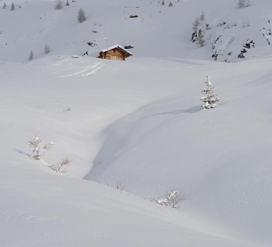 Winter Shelter - Ken Wallace