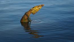 David Cross - Holding Fast