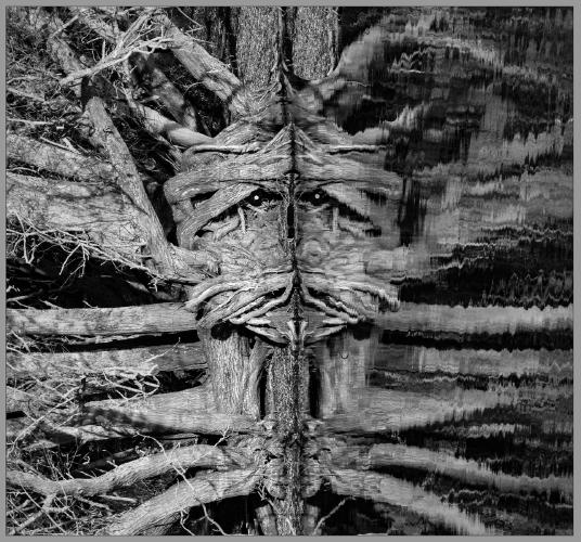 Just Call Me Woody - Hilary Knight