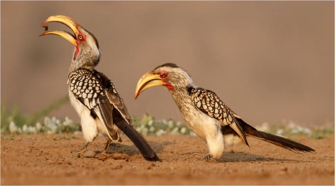 Thought that was meant for me - Derek Howes