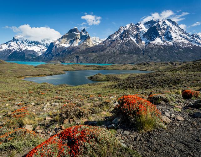 Firetongue - Alan James