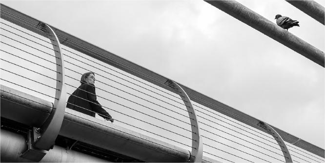 Parallel Perches - Joe Robbins