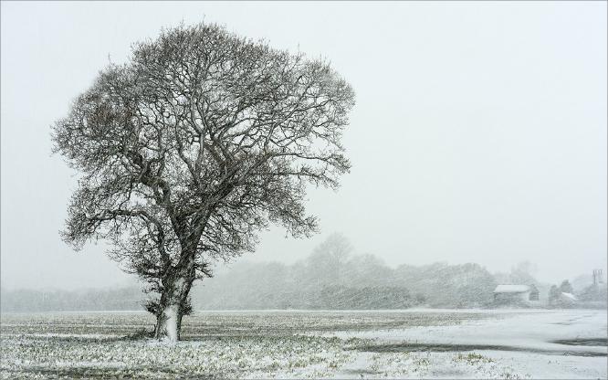 Standing Strong - Colin Brett