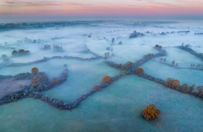 Winter morning, Dedham Vale - Andrew Bailey