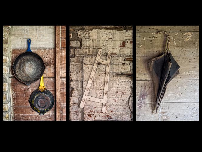 On The Shed Wall (1) - Roy Essery