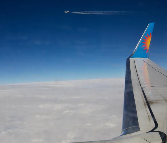 In plane sight... - Max Fox