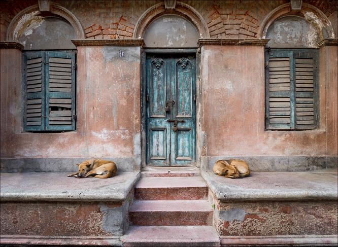 Let Sleeping Dogs Lie - Kate Jackson