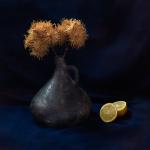 Nesta James - Marron Stem in Vase
