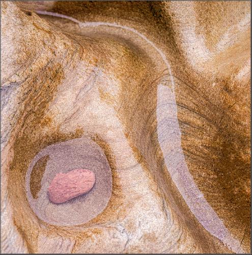 Rock Pool - Peter Pangbourne