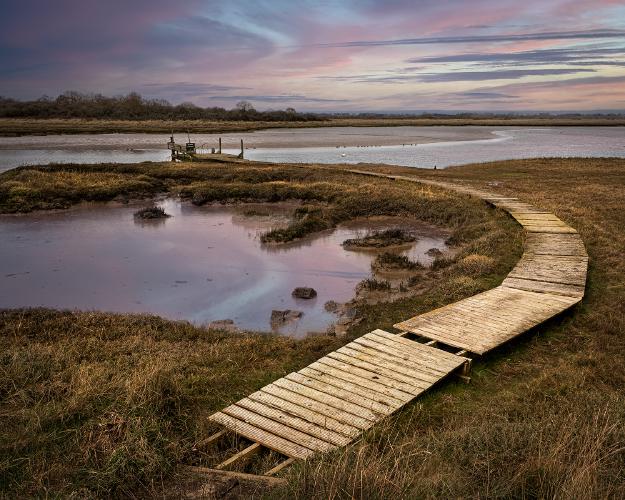 The Wade - Chris Aldred