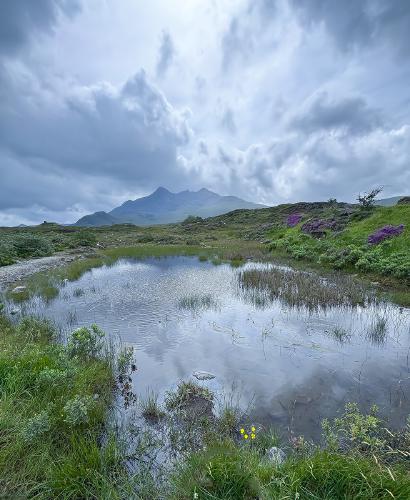 Towards The Cuillins - Mary Battye