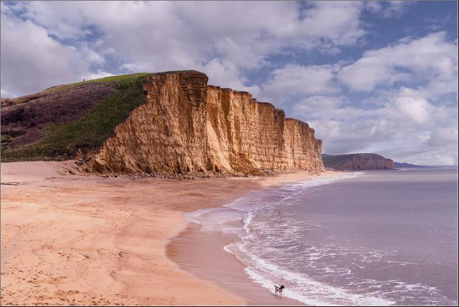 Where is my ball - Peter Pangbourne