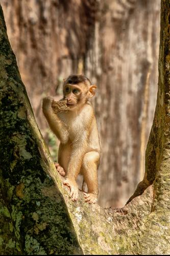 A little lost - Peter Freeman