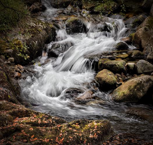 Mountain Stream, Glenmore - Chris Aldred