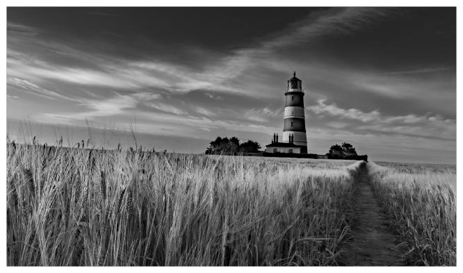 Under Threat - Richard Cunningham