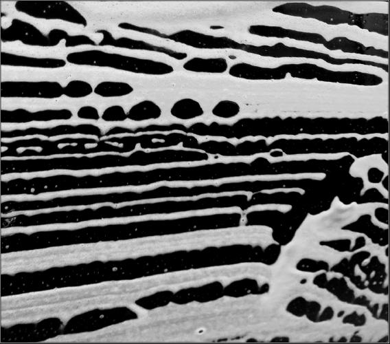 In the carwash - Alison Pangbourne