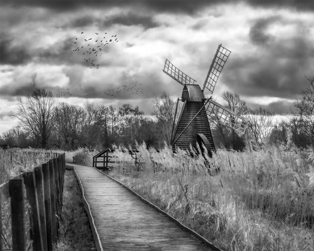 Wicken Wood Pump - Chris Pugh