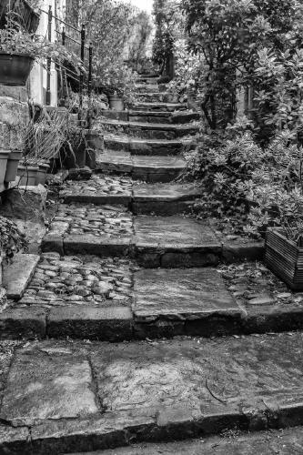 A step up - Peter Freeman