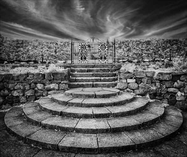 Steps at Balmoral - Chris Aldred