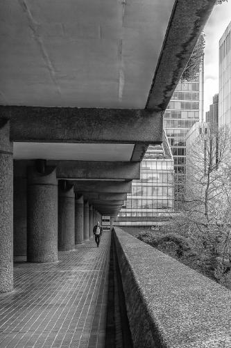 The Lone Walker - Peter Freeman
