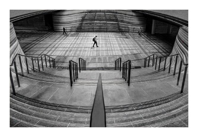 Which Way To Go - Hilary Knight