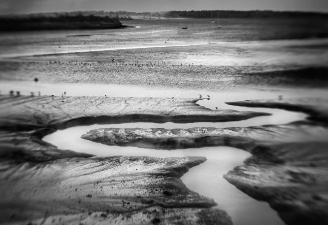 LOW TIDE AT MANNINGTREE (1) - Roy Essery