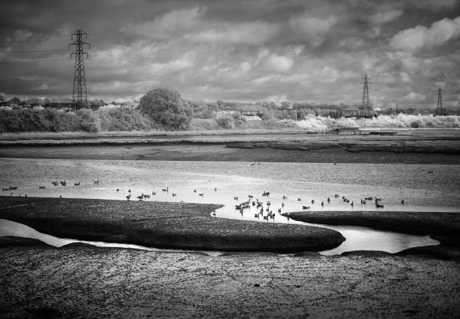 LOW TIDE AT MANNINGTREE (2) - Roy Essery
