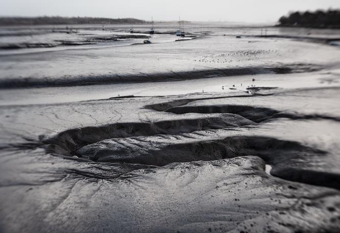 LOW TIDE AT MANNINGTREE (3) - Roy Essery