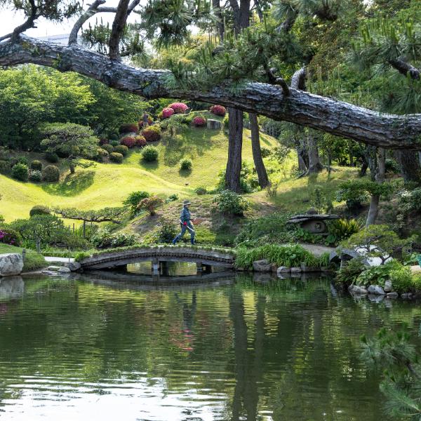 Jean Taylor - Japanese gardener